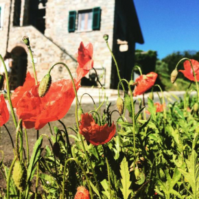 Отель Agriturismo Angiò nel Cerè  Bracelli